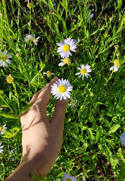 Foto kleiner blumenliebhaber