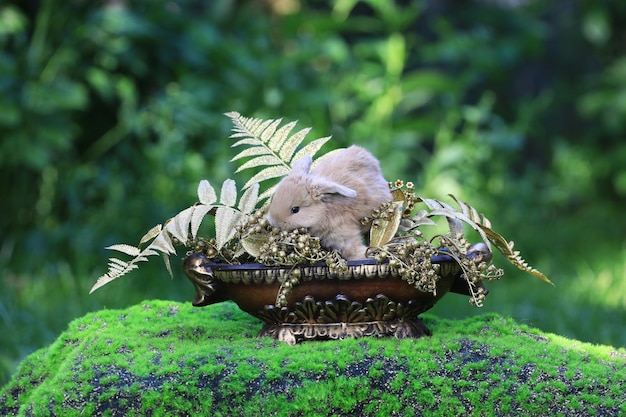 kleiner brauner Hase in einer Blumenvase