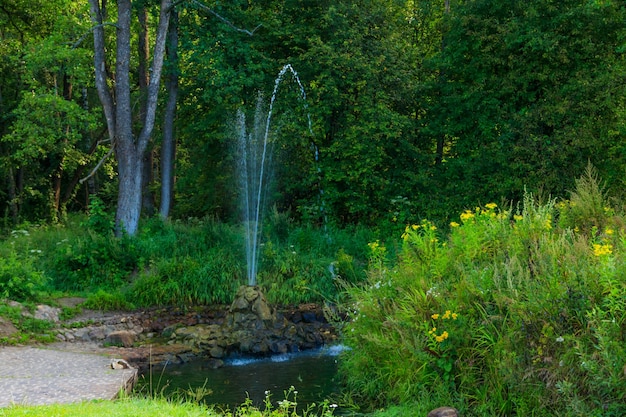 Kleiner einfacher Brunnen im grünen Park im Sommer