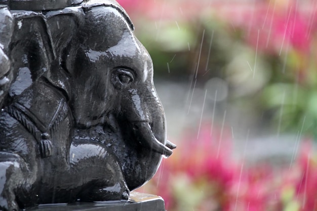 kleiner elefant im regen