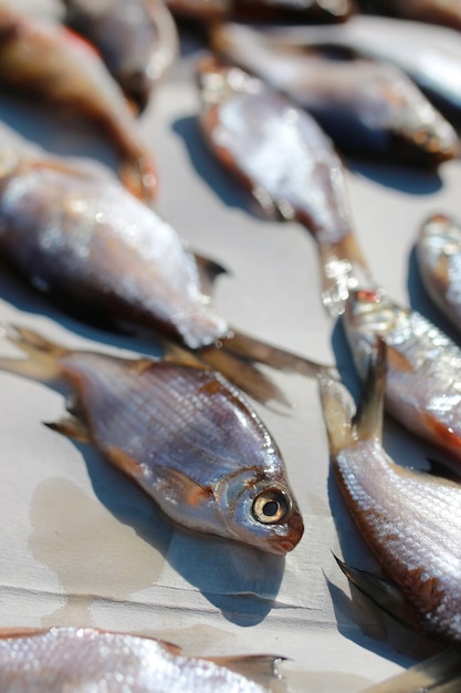 kleiner Fisch auf dem Tisch