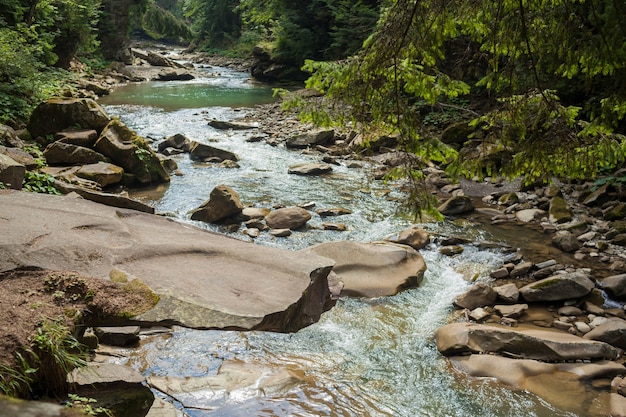 Kleiner Fluss, der schnell und lebhaft durch sein wildes steiniges Tal fließt