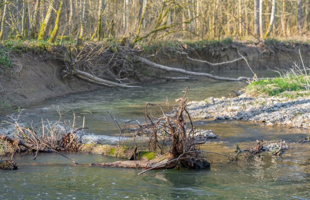 Foto kleiner fluss im frühling