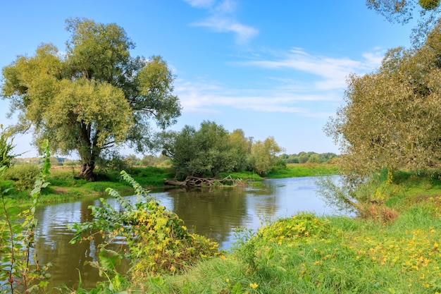 Kleiner Fluss mit grünen Bäumen und Büschen an einem Ufer gegen blauen Himmel im sonnigen Herbstmorgen. Flusslandschaft