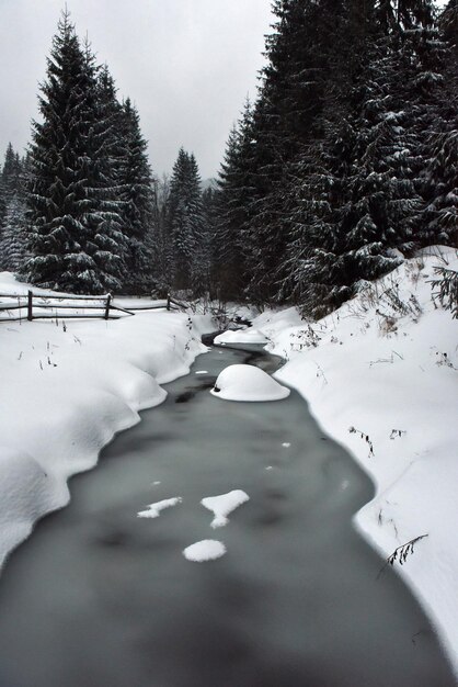 Kleiner Fluss mit weißen schneebedeckten Bäumen und Felsen im Winter