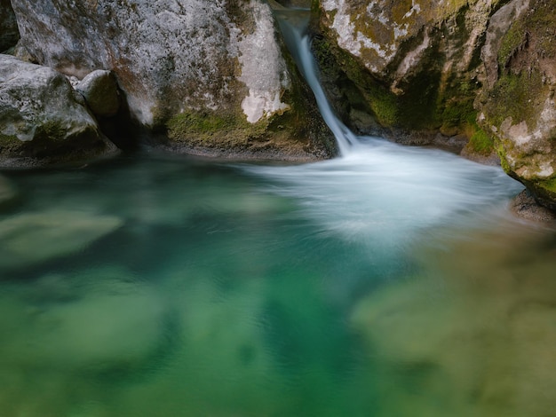 Kleiner Fluss tief in den grünen Wäldern