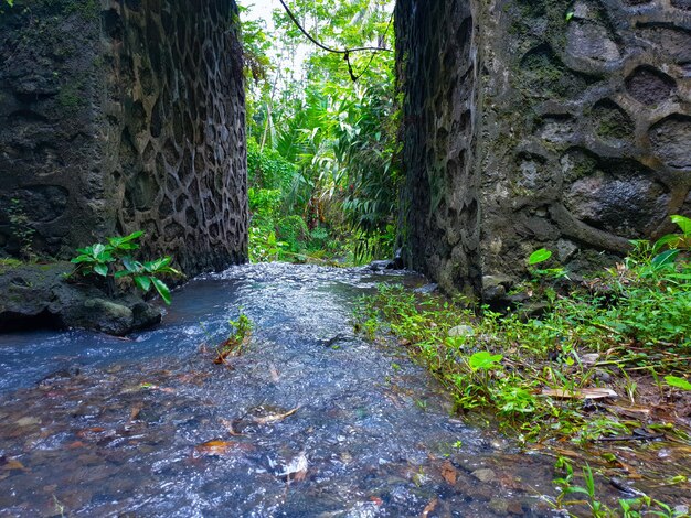 kleiner Fluss unter der Brücke