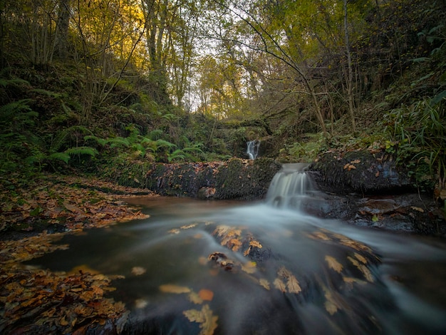 Kleiner Flusswasserfall im Herbst