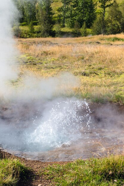 Kleiner Geysir im Haukadalur-Tal in Island