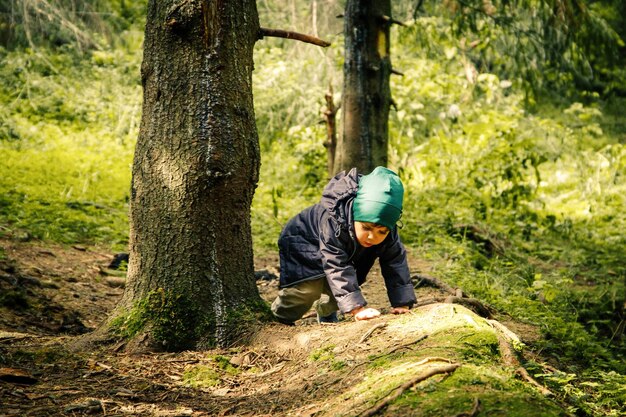 Kleiner Junge, der am malerischen Herbstwald spaziert