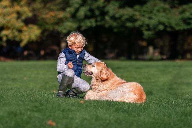 Kleiner Junge, der am Sommertag zusammen Golden Retriever-Hund auf dem Feld spielt und trainiert Süßes Kind mit Hündchen-Pet-Portrait in der Natur