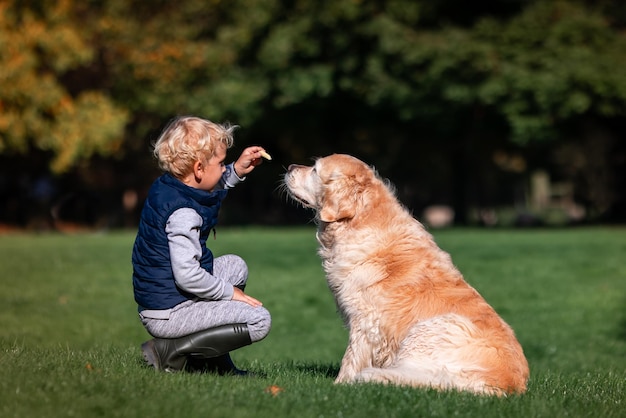 Kleiner Junge, der am Sommertag zusammen Golden Retriever-Hund auf dem Feld spielt und trainiert Süßes Kind mit Hündchen-Pet-Portrait in der Natur