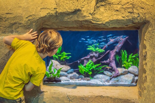 Kleiner Junge, der den Fischschwarm im Ozeanarium beobachtet, Kinder, die das Unterwasserleben im Aquarium genießen