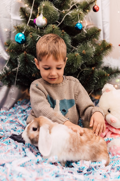 Kleiner Junge, der mit Kaninchen nahe Weihnachtsbaum spielt
