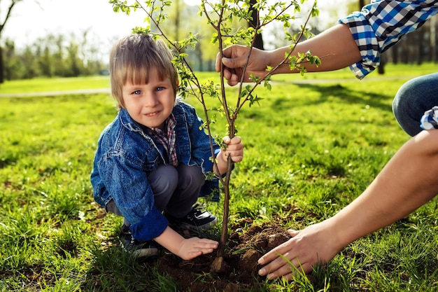 Kleiner Junge, der seinem Vater hilft, den Baum zu pflanzen, während er gemeinsam im Garten arbeitet