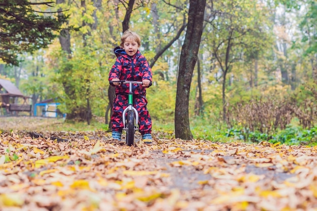 Kleiner Junge, der Spaß auf Fahrrädern im Herbstwald hat. Selektiver Fokus auf Jungen