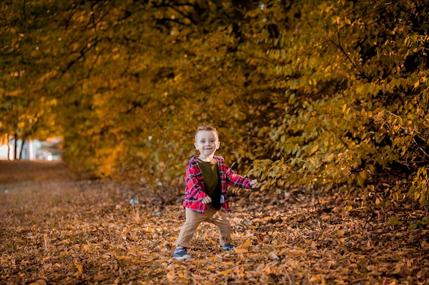 Kleiner Junge geht in der Natur im Herbst