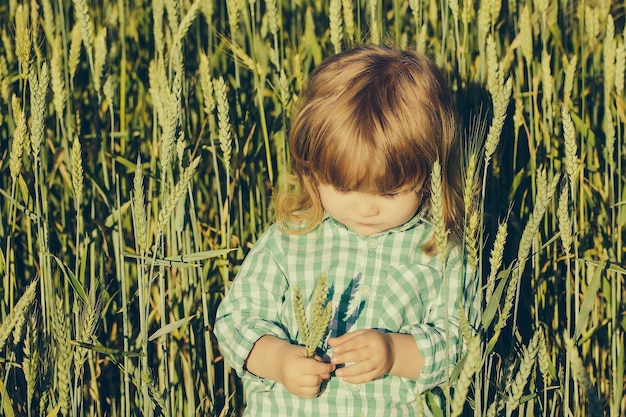 Kleiner Junge im grünen Feld von Ährchengras