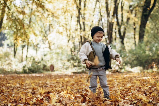 Kleiner Junge im Park mit Herbstlaub