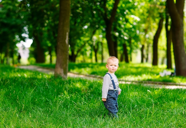 Kleiner Junge im Park.