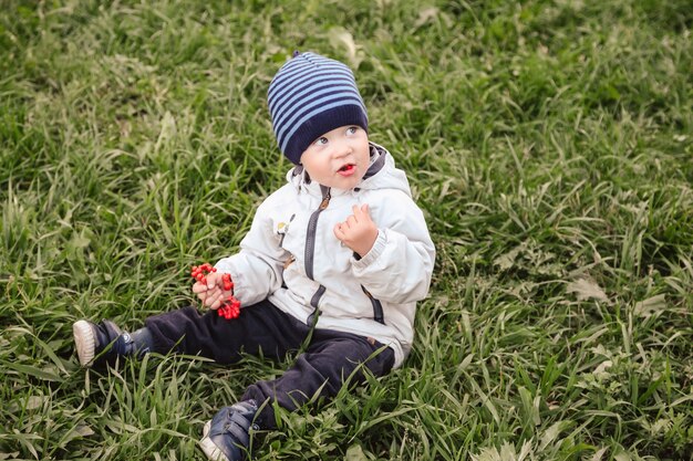 Kleiner Junge in Herbstkleidung in der Natur im Park, der Vogelbeeren spielt und isst. Kind von zwei oder drei Jahren auf Gras mit Zweig der Herbsteberesche hat Spaß. Platz für Website kopieren