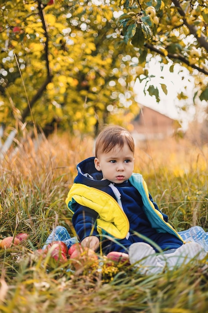 Kleiner Junge pflücken Äpfel im Obstgarten Kind pflücken Äpfel auf dem Bauernhof im Herbst Erntezeit