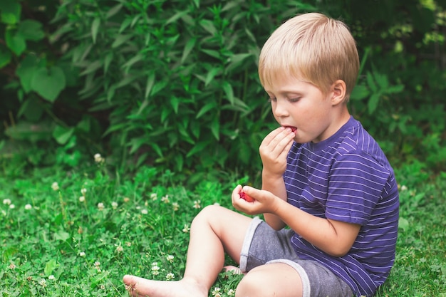 Kleiner Junge sitzt auf einem grünen Rasen und isst frische Himbeeren im Garten des Hauses