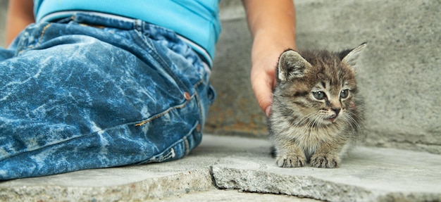 Kleiner Junge und Katze im Freien