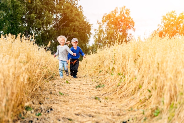 Kleiner Junge und Mädchen auf einem Weizenfeld im Sonnenlicht laufen und spielen die Natur genießen. Kind, das über Feld- und Sonnenunterganghimmelhintergrund anhebt. Umweltkonzept für Kinder