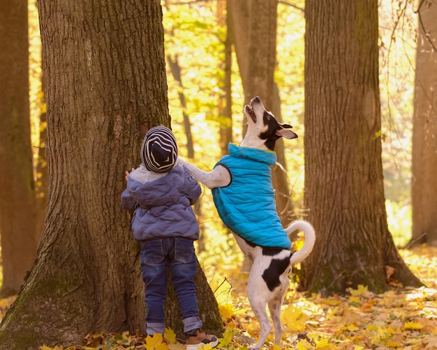 Kleiner Junge und sein Hund beobachten ein Eichhörnchen auf einem Baum