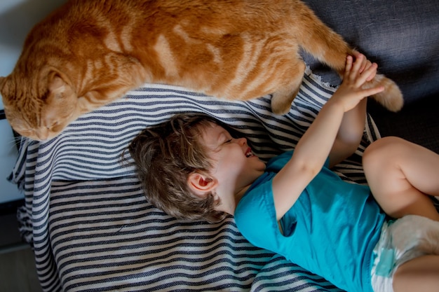 Kleiner Kleinkindjunge spielt mit einer schottischen Falzkatze zu Hause