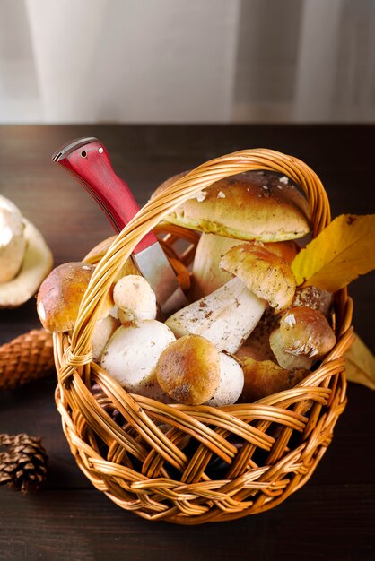 Kleiner Korb mit Herbstpilzen