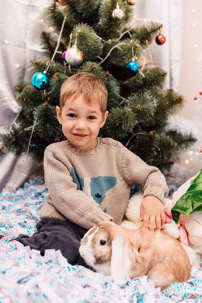 Kleiner lächelnder Junge, der mit Kaninchen nahe Weihnachtsbaum spielt