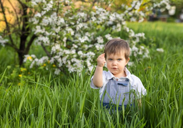 Kleiner lustiger Junge in einem modischen blauen Overall mit ausdrucksstarken blauen Augen. Süß lächelt und isst frisches grünes Gras in einem großen blühenden Garten im hohen Gras.