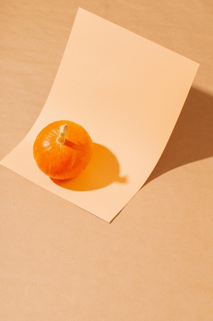 Kleiner orangefarbener Kürbis auf orangefarbenen Papierbögen