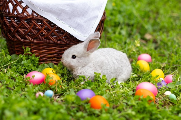 Kleiner Osterhase auf dem Gras in der Nähe von bunten Eiern