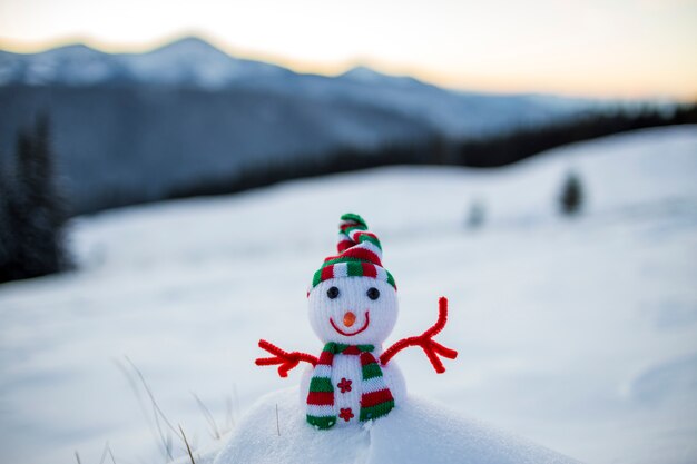 Kleiner Schneemann in Strickmütze und Schal im Tiefschnee im Freien