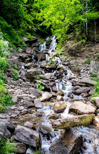 Kleiner, schöner Wasserfall in den Karpaten im Sommer