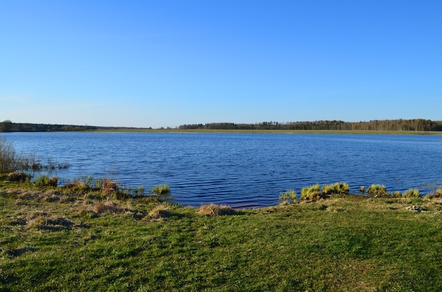 Kleiner See in einem Feld mit einem Wald