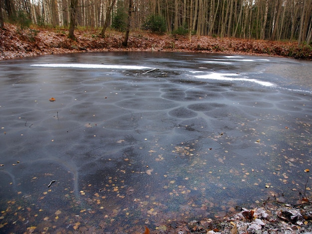 Kleiner See mit Eis bedeckt mit gefallenen Blättern im Inneren gefroren