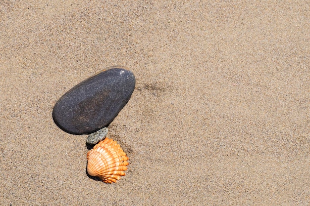 Kleiner Stein am Strand mit Muschel