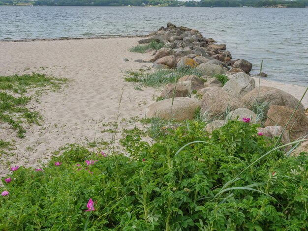 kleiner Strand am Ostsee