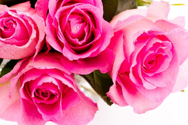 Kleiner Strauß frischer rosa Rosen.