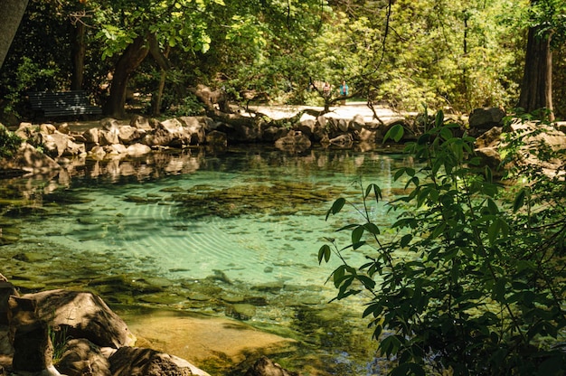 Kleiner Teich im Park