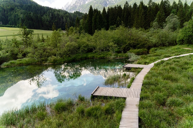 Kleiner Teich in der Nähe von Bäumen im Triglav Park, Slowenien