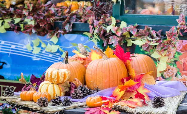 kleiner und großer orange Halloween-Kürbis