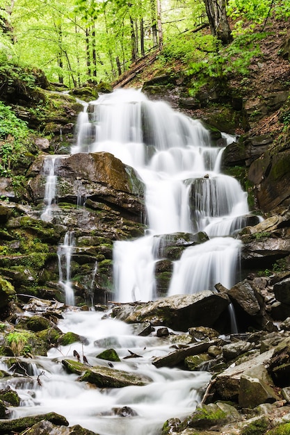 Kleiner Wasserfall des Gebirgsflusses unter den Bäumen