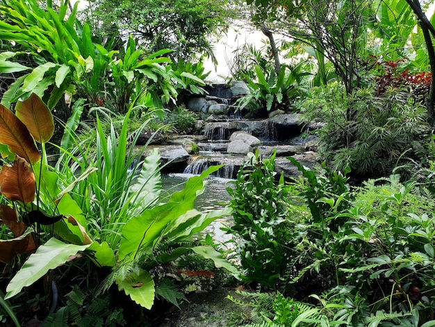 Kleiner Wasserfall im Garten