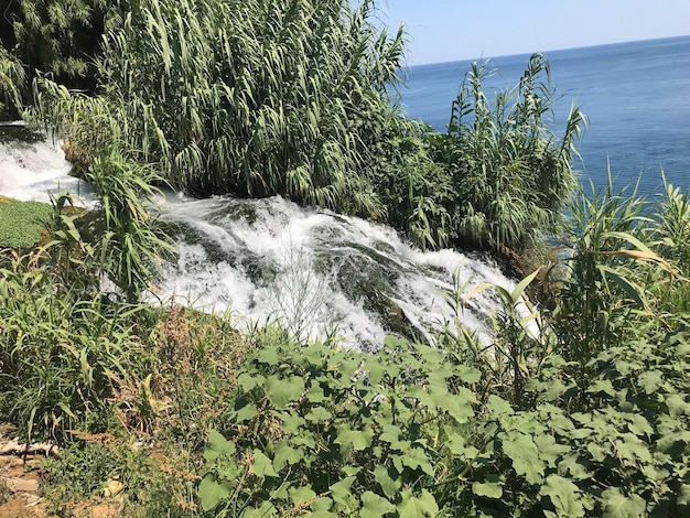 Kleiner Wasserfall im Wald