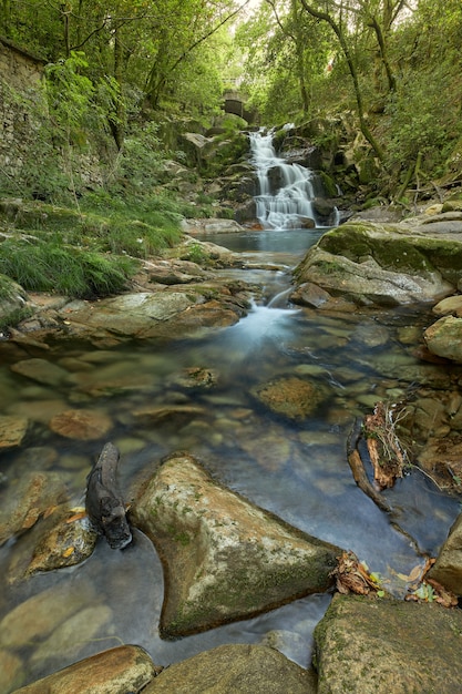 Kleiner Wasserfall in einem Wald